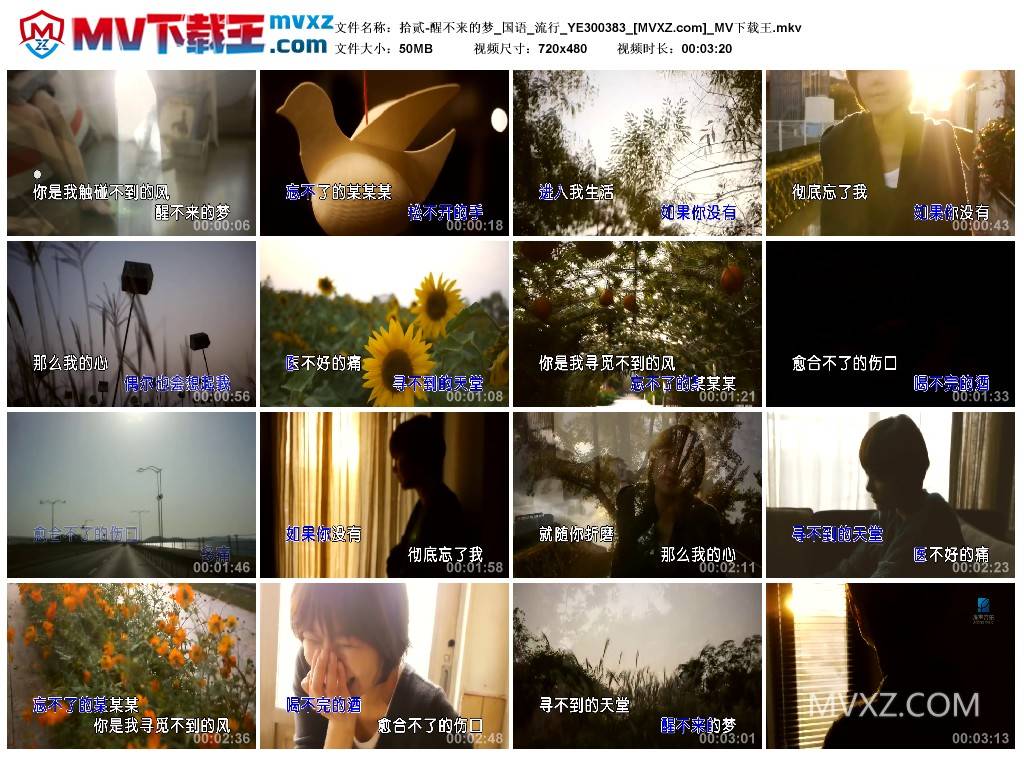 拾贰-醒不来的梦_国语_流行_YE300383